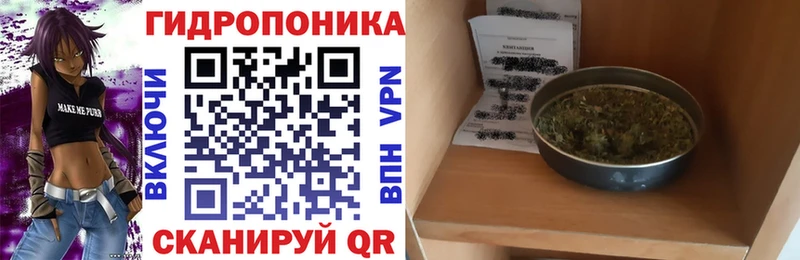 МАРИХУАНА White Widow  МЕГА как войти  Купино  как найти закладки 